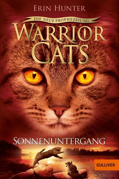 Buch-Reihe Warrior Cats Staffel 2 von Erin Hunter
