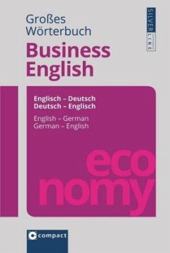 Großes Wörterbuch Business English - Lewis-Schätz, Sarah;Süchting, Dörte