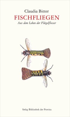 Cover Fischfliegen