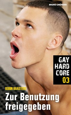 Gay Hardcore 03: Zur Benutzung freigegeben (eBook, ePUB) - Haasters, Robin