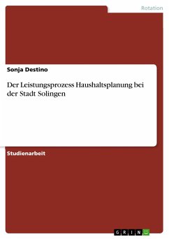 Der Leistungsprozess Haushaltsplanung bei der Stadt Solingen - Destino, Sonja