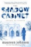 The Shadow Cabinet (eBook, ePUB)