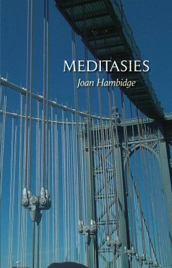 Meditasies (eBook, ePUB)
