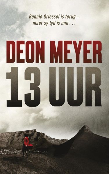 13 uur (eBook, ePUB)