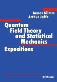 Quantum Field Theory and Statistical Mechanics (eBook, PDF)