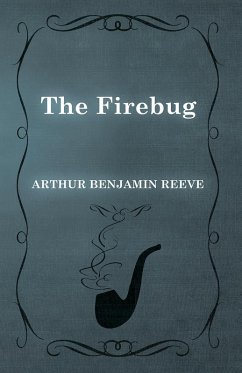 Cover The Firebug (eBook, ePUB)