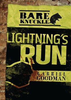 Cover Lightning's Run (eBook, ePUB)