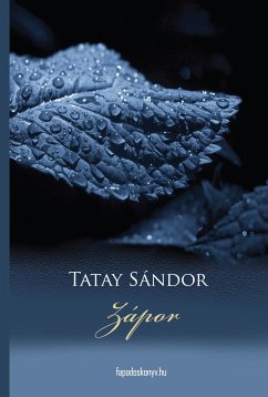 Zápor (eBook, ePUB) - Tatay, Sándor
