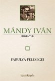 Fabulya feleségei (eBook, ePUB)