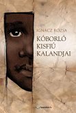 Kóborló kisfiú kalandjai (eBook, ePUB)