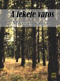 A fekete város (eBook, ePUB)