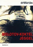 Molotov-koktél jéggel (eBook, ePUB)