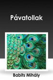 Pávatollak (eBook, ePUB)