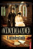 A mindentudó (eBook, ePUB)