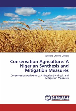 Conservation Agriculture: A Nigerian Synthesis and Mitigation Measures