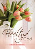 Heeltyd by God (eBook, ePUB)