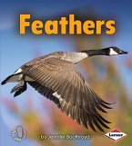 Feathers (eBook, PDF) Feathers (eBook, PDF)