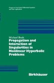 Propagation and Interaction of Singularities in Nonlinear Hyperbolic Problems (eBook, PDF)