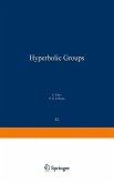 Sur les Groupes Hyperboliques d'après Mikhael Gromov (eBook, PDF)