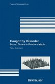 Caught by Disorder (eBook, PDF)