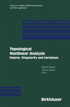 Cover Topological Nonlinear Analysis (eBook, PDF)