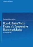How do Brains Work? (eBook, PDF)