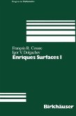 Enriques Surfaces I (eBook, PDF)