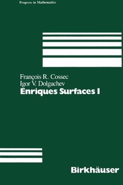 Enriques Surfaces I (eBook, PDF) - Cossec, F.; Dolgachev