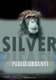 Silver (eBook, ePUB)