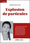 Explosion de particules (eBook, ePUB)