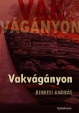 Vakvágányon (eBook, ePUB)