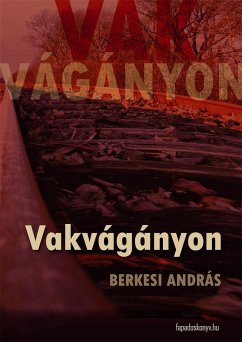 Vakvágányon (eBook, ePUB) - Berkesi, András