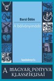 A bálványimádó (eBook, ePUB)