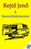 A boszorkánymester (eBook, ePUB)