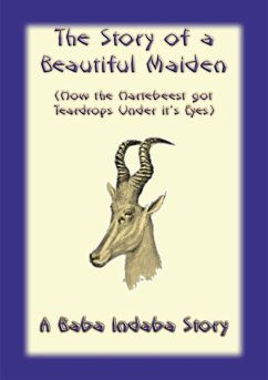 The Story of a Beautiful Maiden (eBook, ePUB)