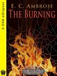 The Burning (eBook, ePUB) - Bild 1