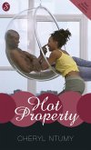 Hot Property (eBook, ePUB)