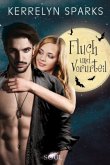 Fluch und Vorurteil / Vampirreihe Bd.14