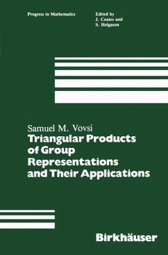 Triangular Products of Group Representations and Their Applications (eBook, PDF) - Vovsi, S. M.