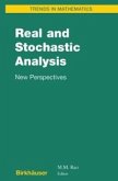 Real and Stochastic Analysis (eBook, PDF)