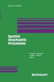 Spatial Stochastic Processes (eBook, PDF)