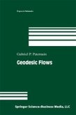 Geodesic Flows (eBook, PDF)
