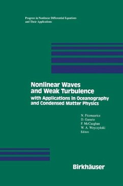 Nonlinear Waves and Weak Turbulence (eBook, PDF) - Fitzmaurice; Gurarie; Mccaughan; Woyczynski