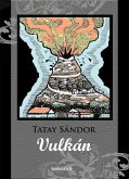 Vulkán (eBook, ePUB)