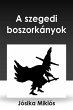 A szegedi boszorkányok (eBook, ePUB) - Bild 1