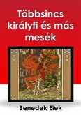 Többsincs királyfi (eBook, ePUB)