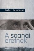 A soanai eretnek (eBook, ePUB)