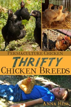 Thrifty Chicken Breeds: Efficient Producers of Eggs and Meat on the Homestead (Permaculture Chicken, #3) (eBook, ePUB) - Hess, Anna