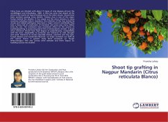 Shoot tip grafting in Nagpur Mandarin (Citrus reticulata Blanco)