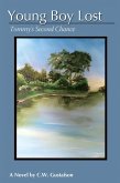 Young Boy Lost: Tommy's Second Chance (eBook, ePUB)